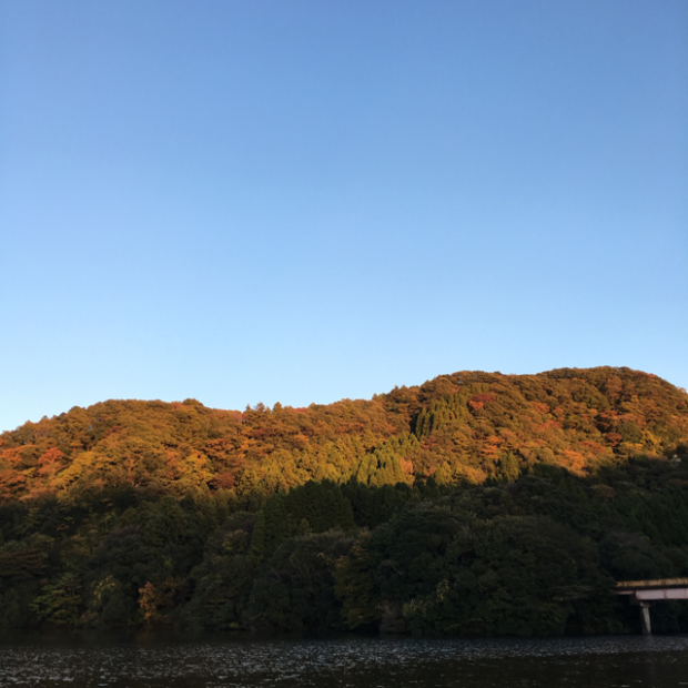 pic20151108101056_3.jpg